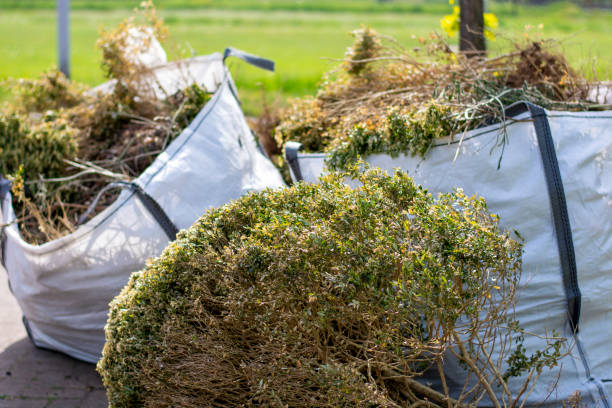 Trash Removal Near Me in Clarksville, TX